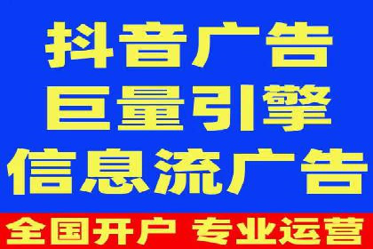 SEM搜索引擎优化策略解析与应用案例